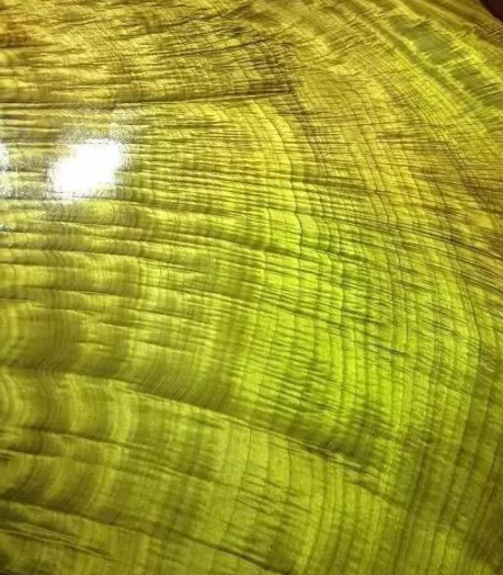 金絲楠烏木：如何區(qū)別金絲楠、黃心楠、黃金樟